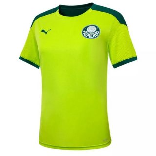 Maillot De Foot Entrainement Palmeiras 2021-2022 Vert Pas Cher