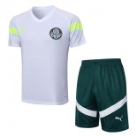 Maillot De Foot Entrainement Palmeiras Ensemble Complet 2023-2024 Blanc