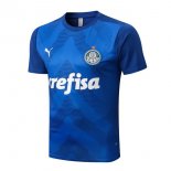 Maillot De Foot Entrainement Palmeiras 2022-2023 Bleu Pas Cher