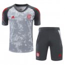 Maillot De Foot Entrainement Bayern Ensemble Complet 2021-2022 Gris Pas Cher