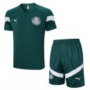 Maillot De Foot Entrainement Palmeiras Ensemble Complet 2023-2024 Vert