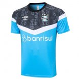 Maillot De Foot Entrainement Gremio 2023-2024 Gris Bleu