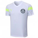 Maillot De Foot Entrainement Palmeiras 2023-2024 Blanc