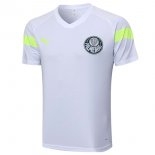 Maillot De Foot Entrainement Palmeiras 2023-2024 Blanc