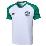 Maillot De Foot Entrainement Palmeiras 2023-2024 Blanc Vert