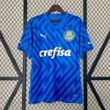 Thailande Maillot Palmeiras Gardien 2024-2025