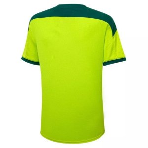 Maillot De Foot Entrainement Palmeiras 2021-2022 Vert Pas Cher