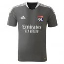 Maillot De Foot Entrainement Lyon 2021-2022 Gris Pas Cher