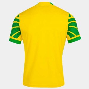 Thailande Maillot De Foot Norwich City Domicile 2021-2022 Pas Cher